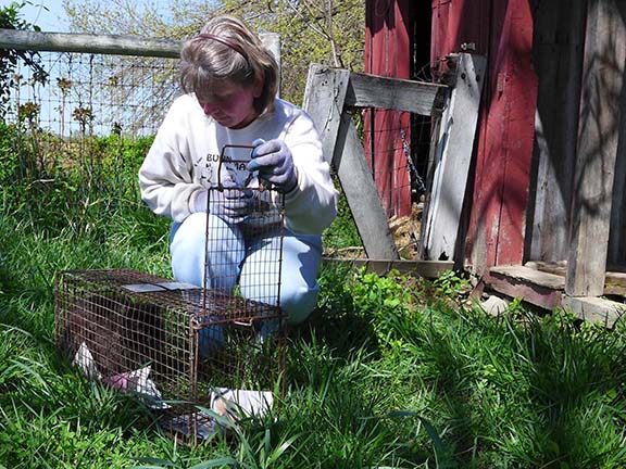 trapping8.jpg trapping8.jpg