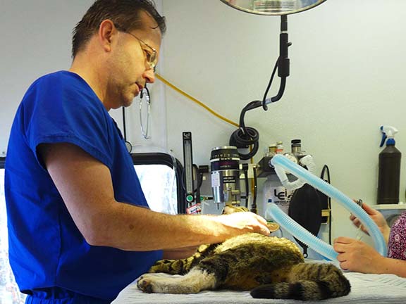 vet 10.jpg vet 10.jpg